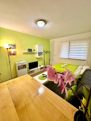 Apartman Lola